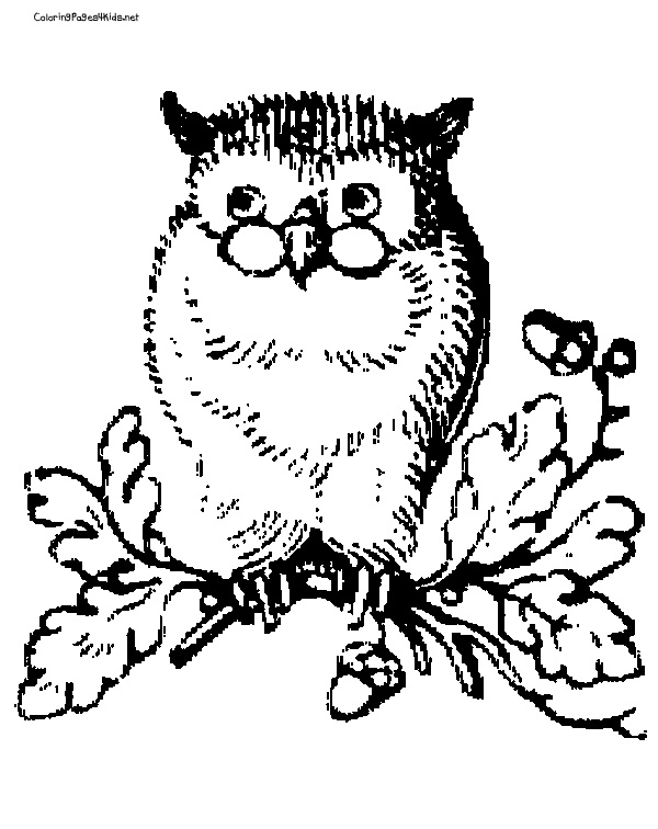 Adult Coloring Pages Owls