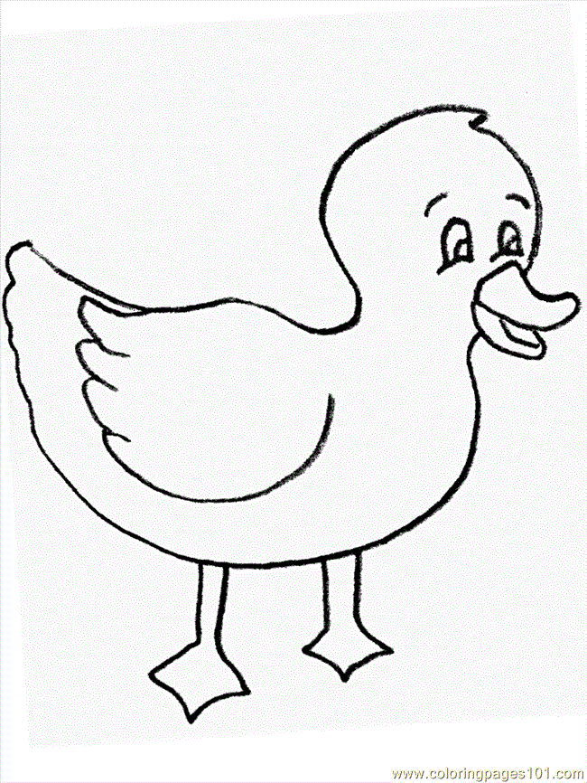 Free Printable Duck Coloring Pages