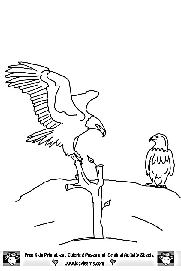 Eagle Coloring Pages
