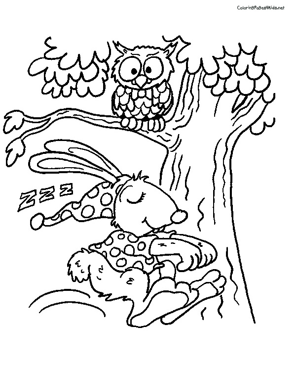 Owl Coloring Page