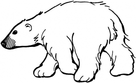 Winter Polar Bear Coloring Page