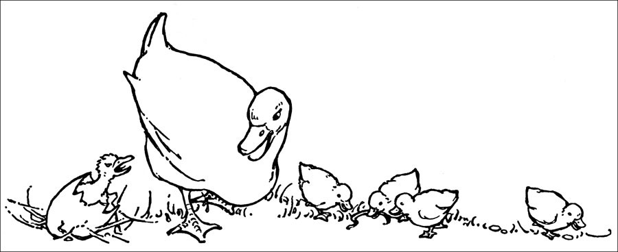 Duck Coloring Pages