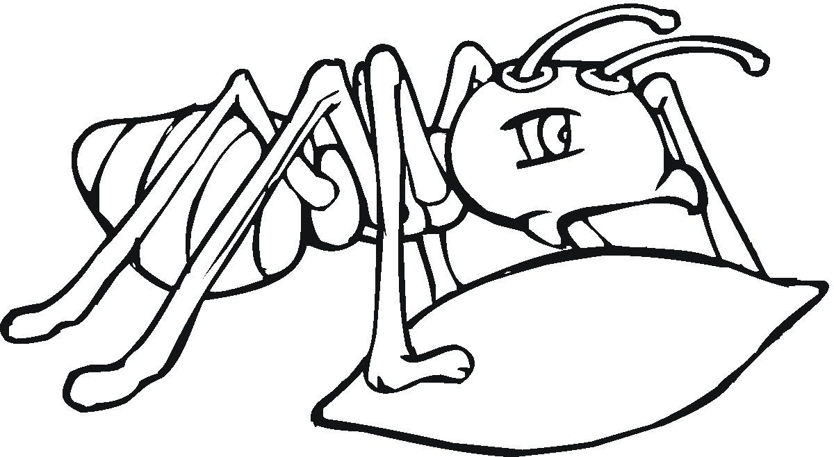 Free Printable Ant Coloring Page