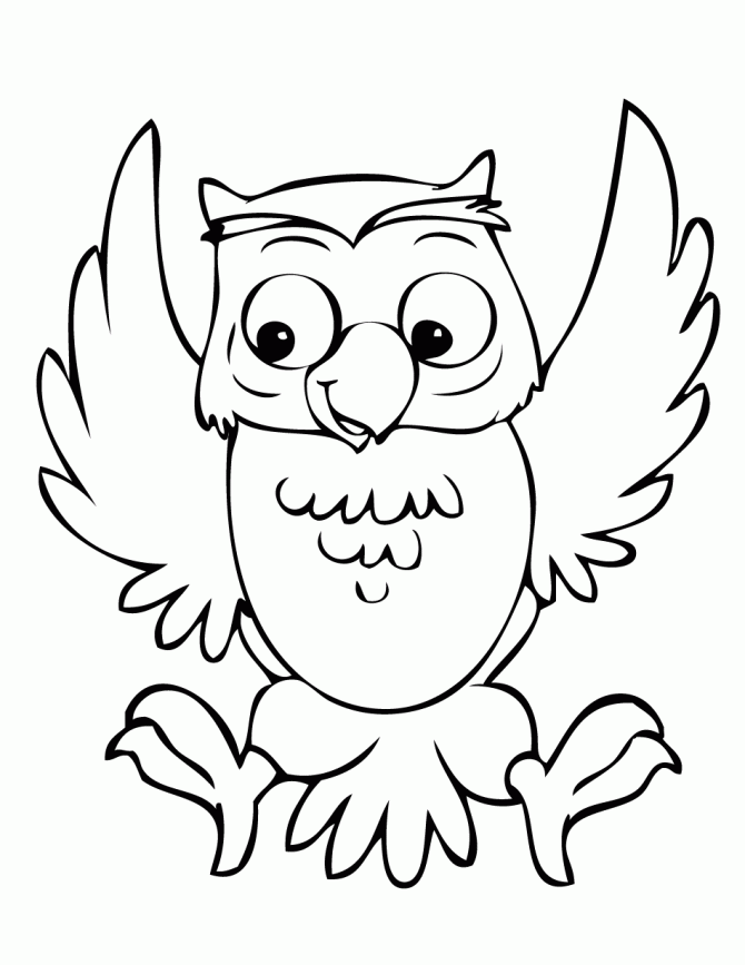 Cute Owl Coloring Pages Printable Free