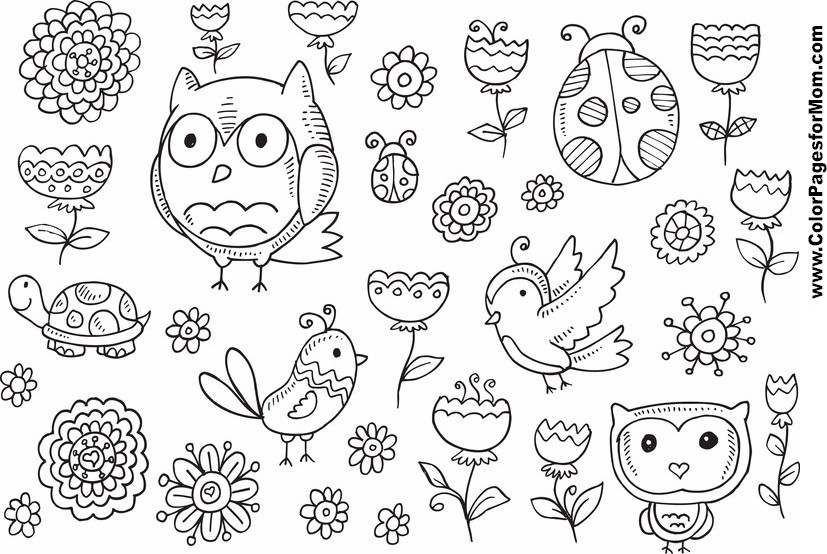 Free Adult Coloring Pages Owls