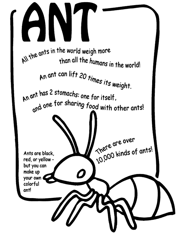 Ant Coloring Page