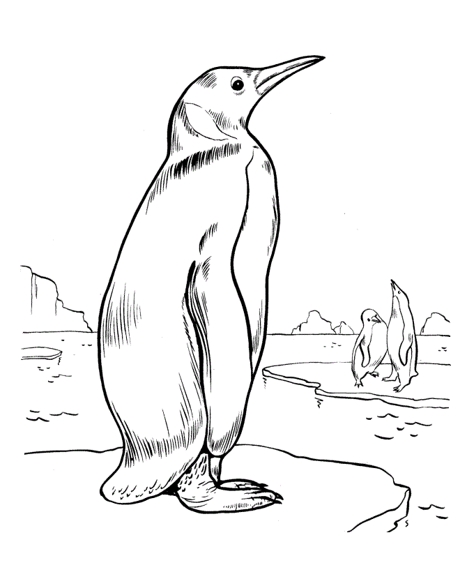 Winter Penguin Coloring Page