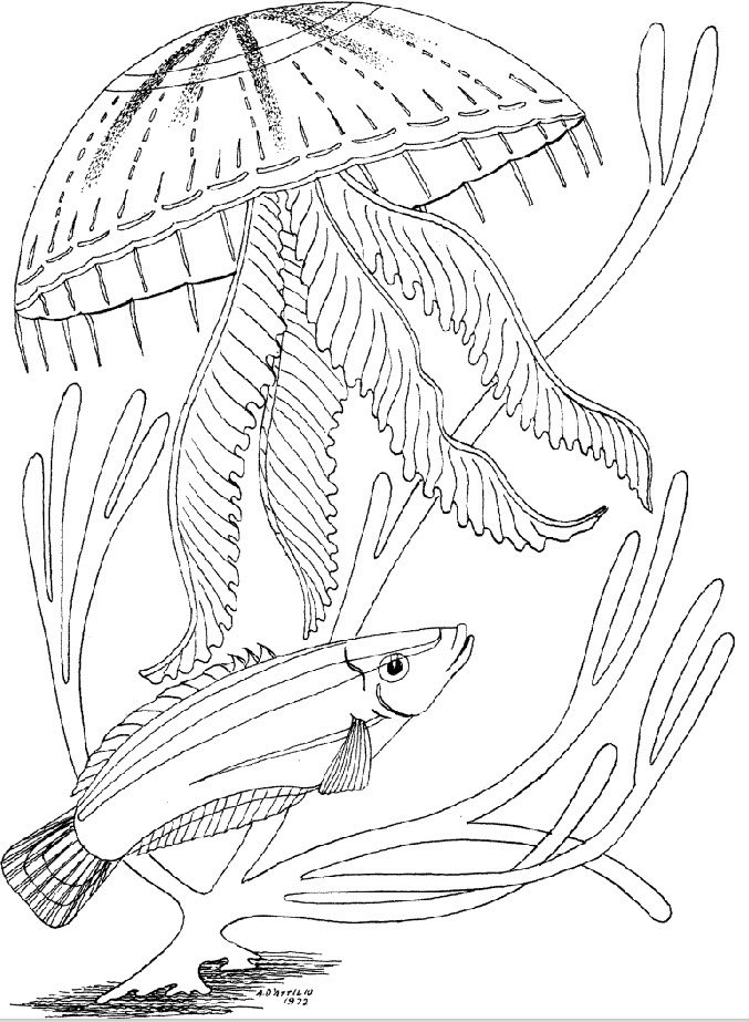 Underwater Coloring Pages