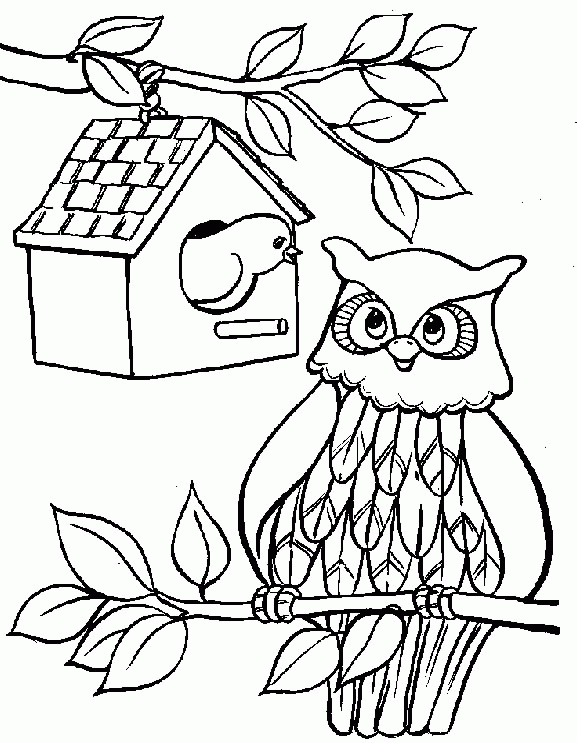 Cute Owl Coloring Pages