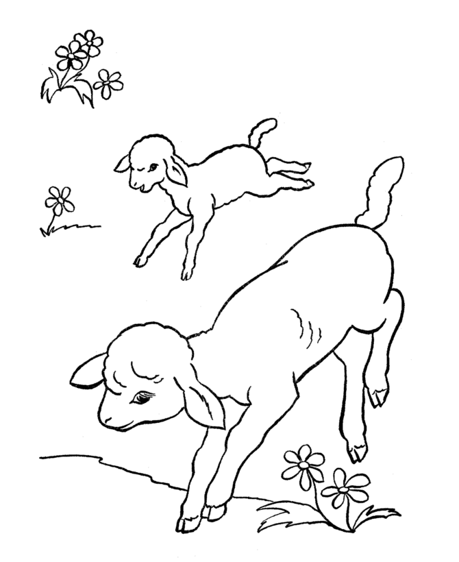Easter Lamb Coloring Page