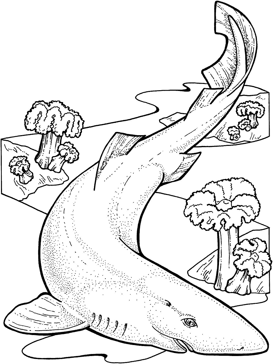 Shark Coloring Pages