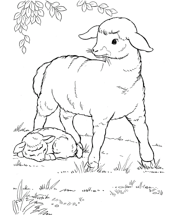 Farm Animal Coloring Pages