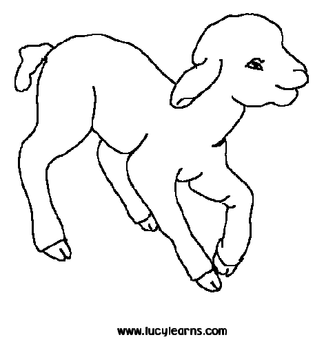 Lamb Coloring Sheet