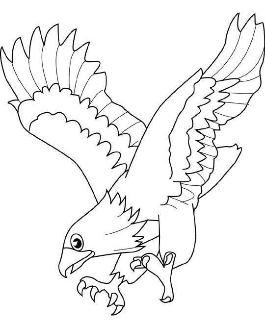 Eagle Coloring Pages Printable