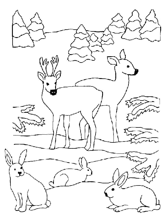 Winter Deer Embroidery Pattern