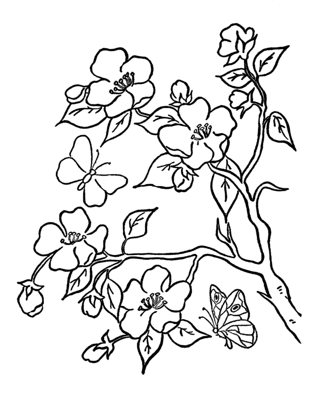 Summer Flowers on Branch Coloring Page