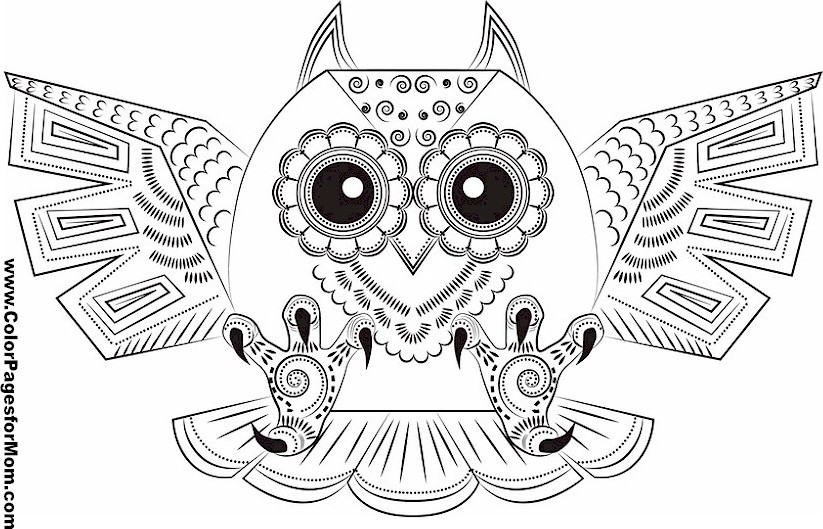 Free Adult Coloring Pages Owls