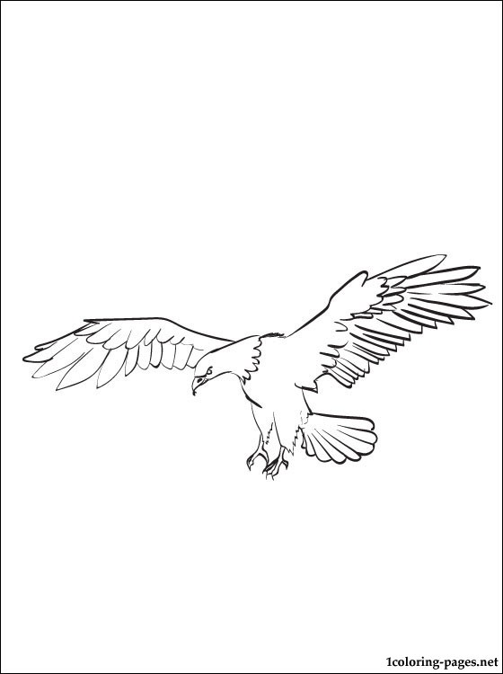 Eagle Coloring Pages Printable