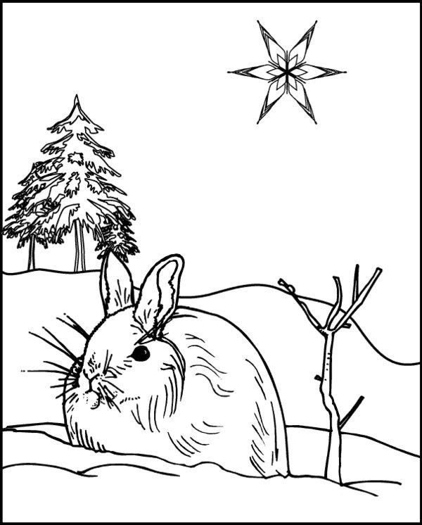 Winter Animals Coloring Pages