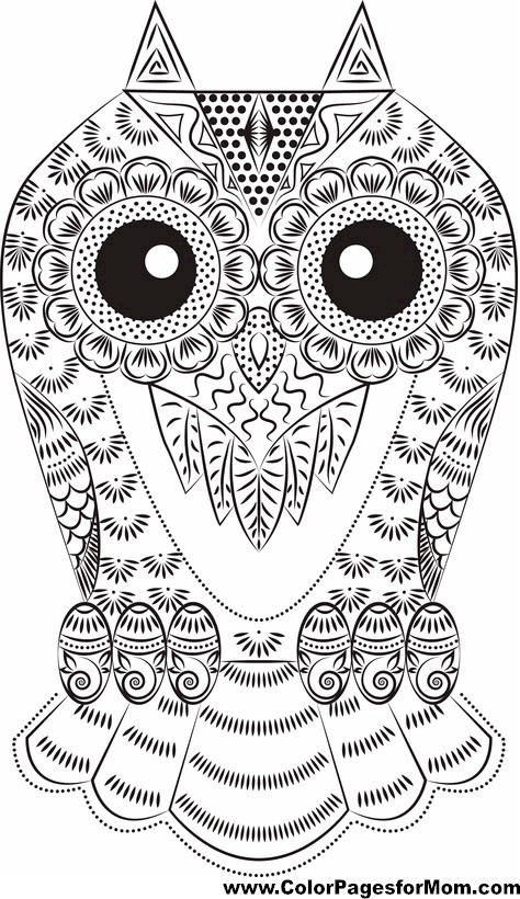 Free Adult Coloring Pages Owls