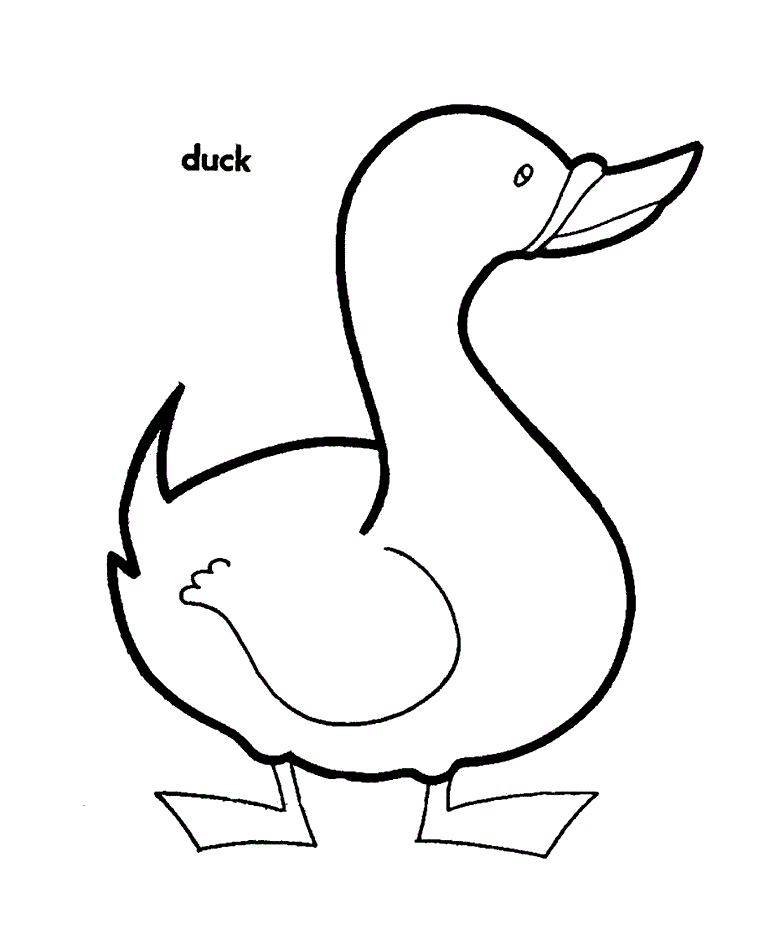 Kids Coloring Pages Ducks