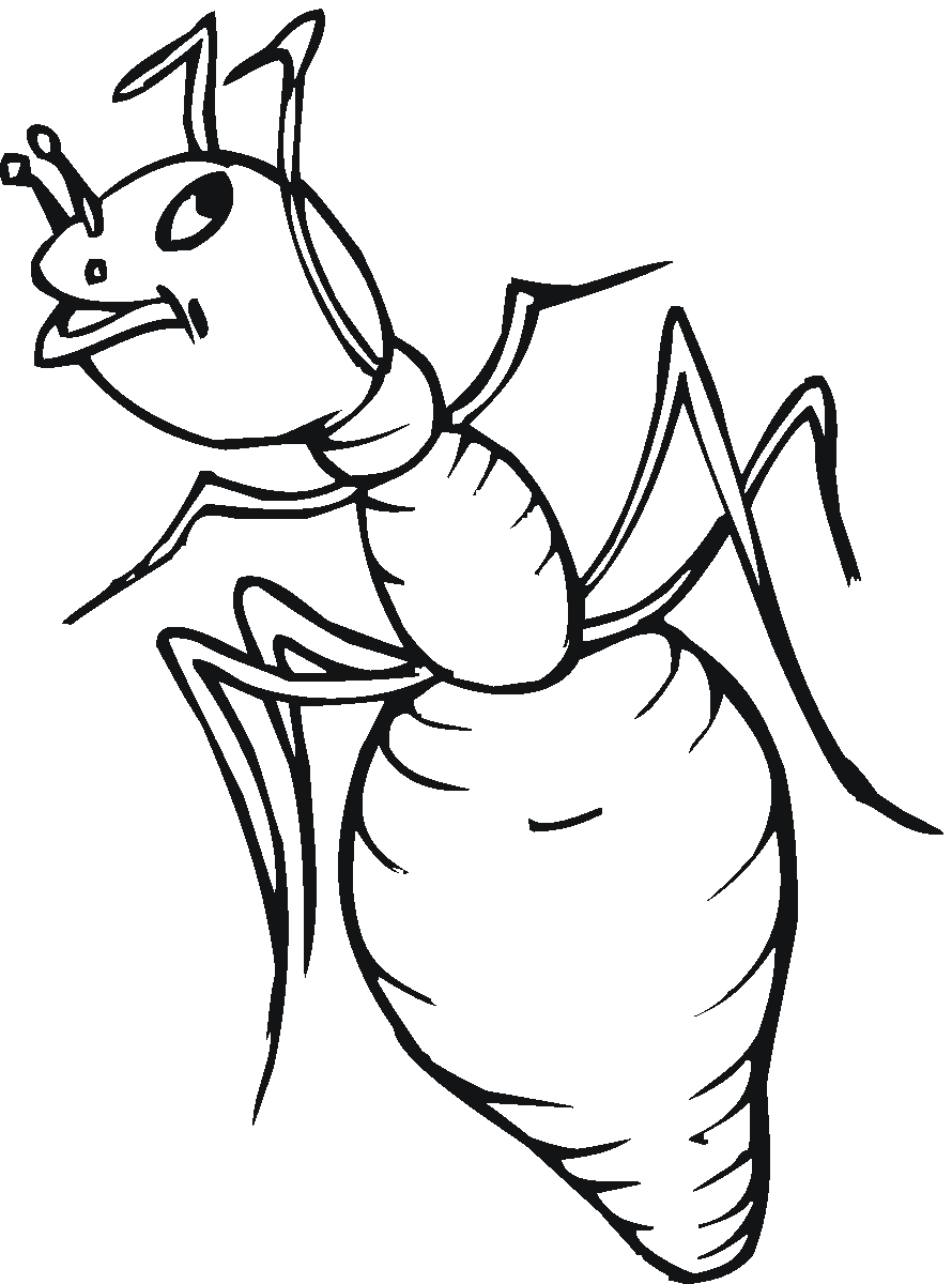 Free Printable Ant Coloring Page