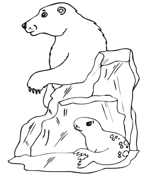 Polar Bear Coloring Pages for Kids Printable
