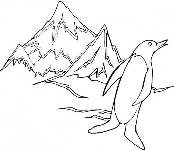 Winter Animals Coloring Pages