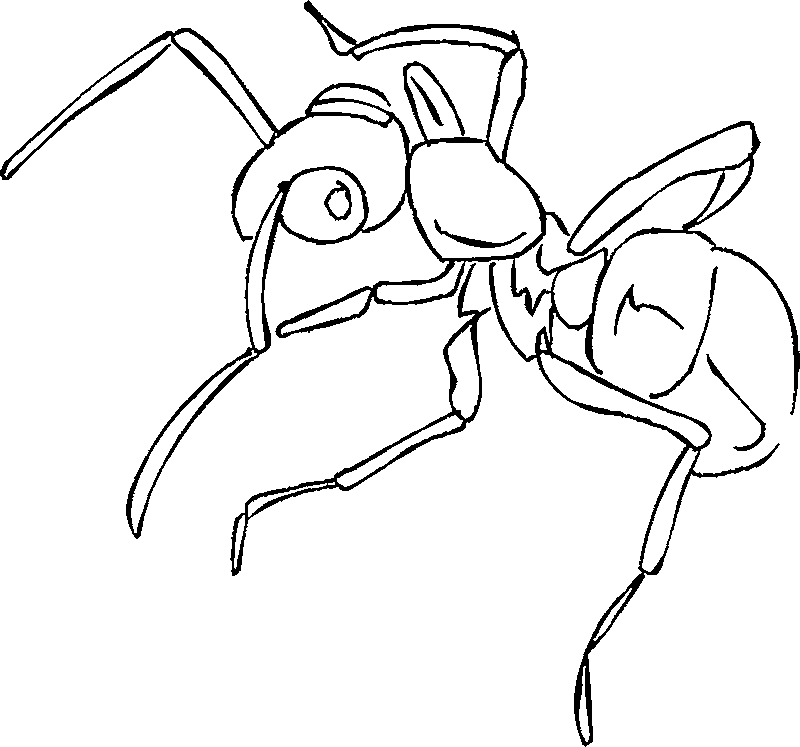 Free Printable Ant Coloring Page