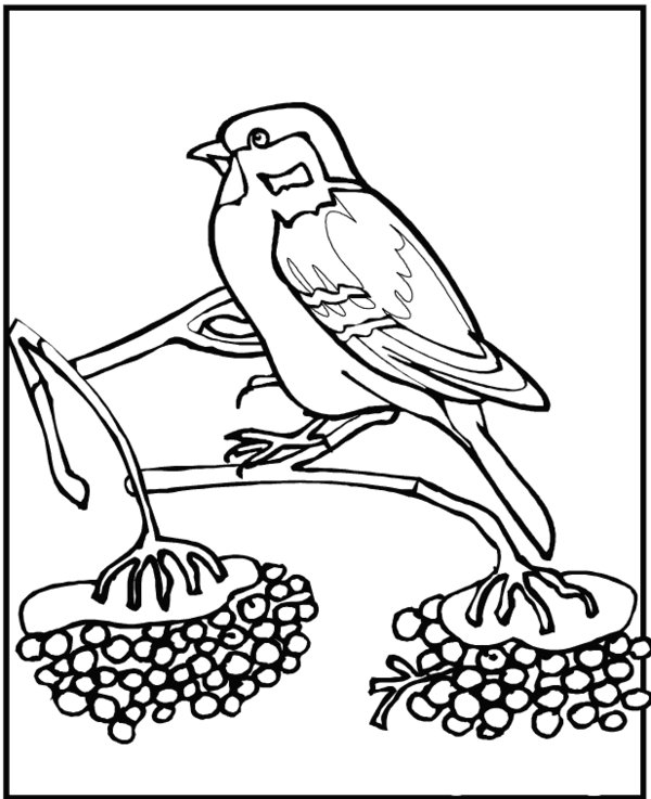 Winter Animals Coloring Pages Printable