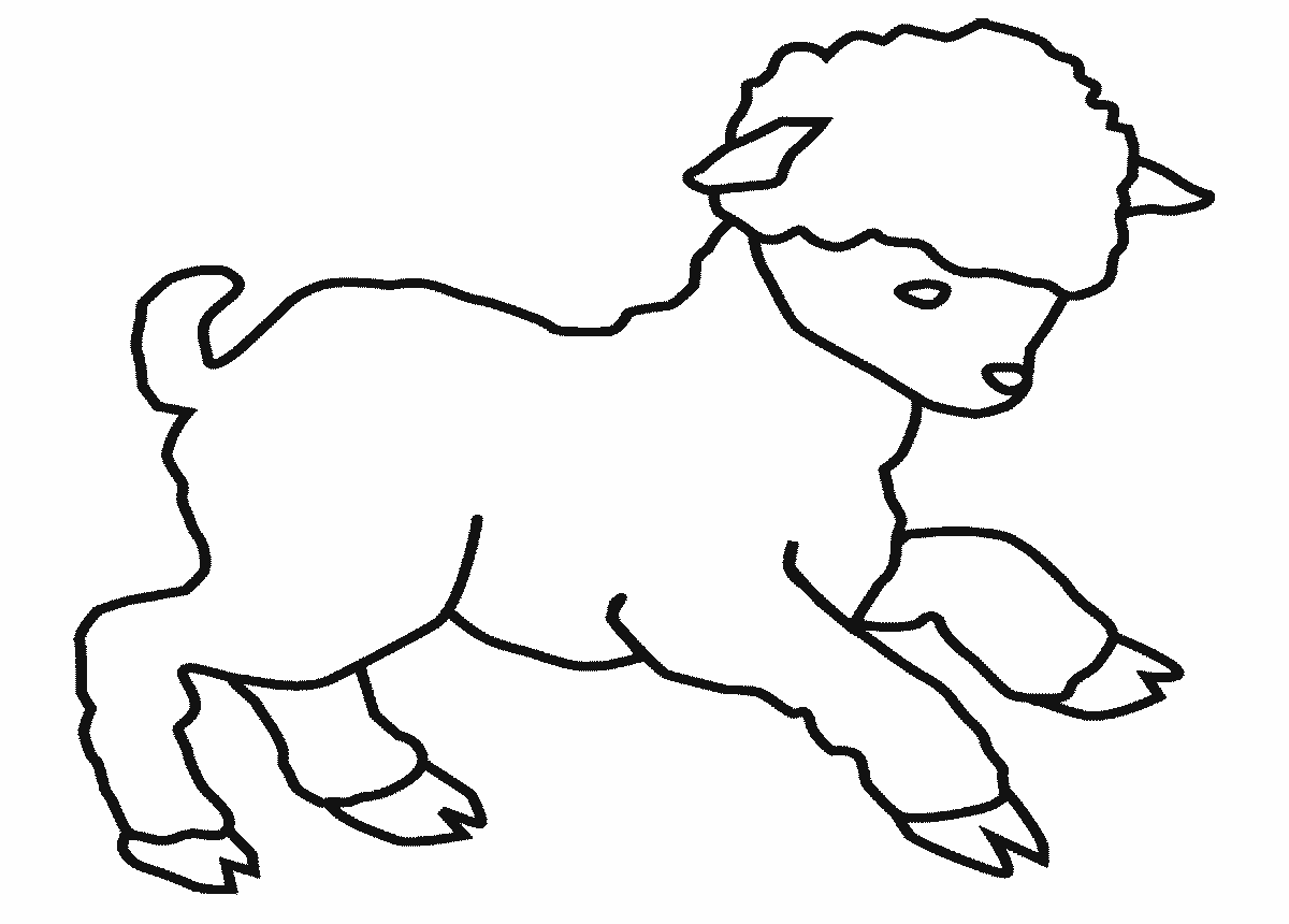 Lamb Sheep Coloring Page