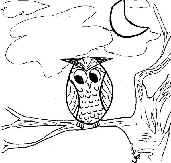 Free Adult Coloring Pages Owls