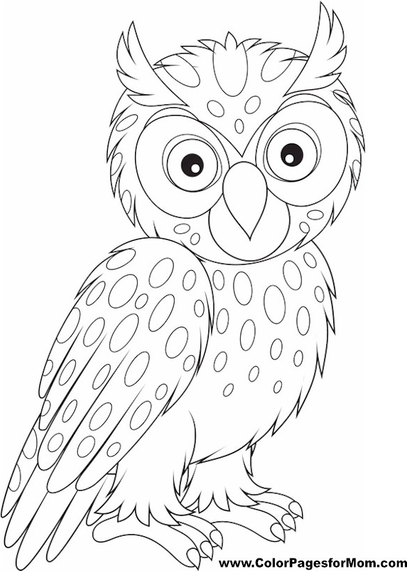 Adult Coloring Pages Owls