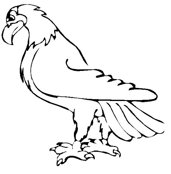 Animal Coloring Pages Eagles