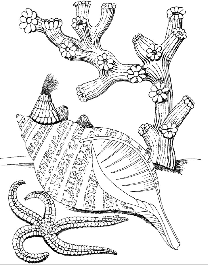 Underwater World Coloring Pages