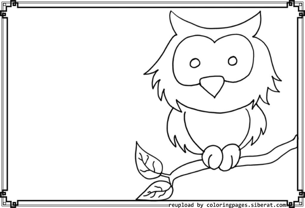 Little Cute Owl Coloring Pages