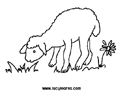 Lamb Coloring Sheet