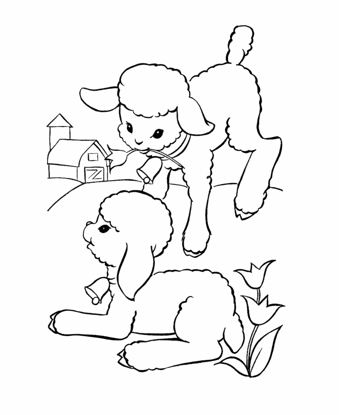 Baby Lamb Easter Coloring Pages