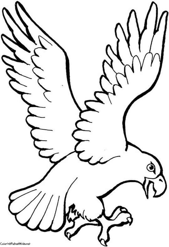 Aguila Para Colorear