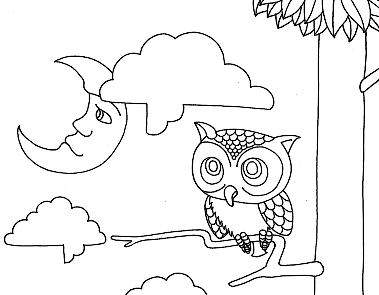 Cute Owl Coloring Pages