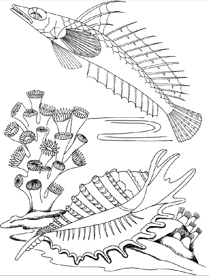 Underwater World Coloring Pages